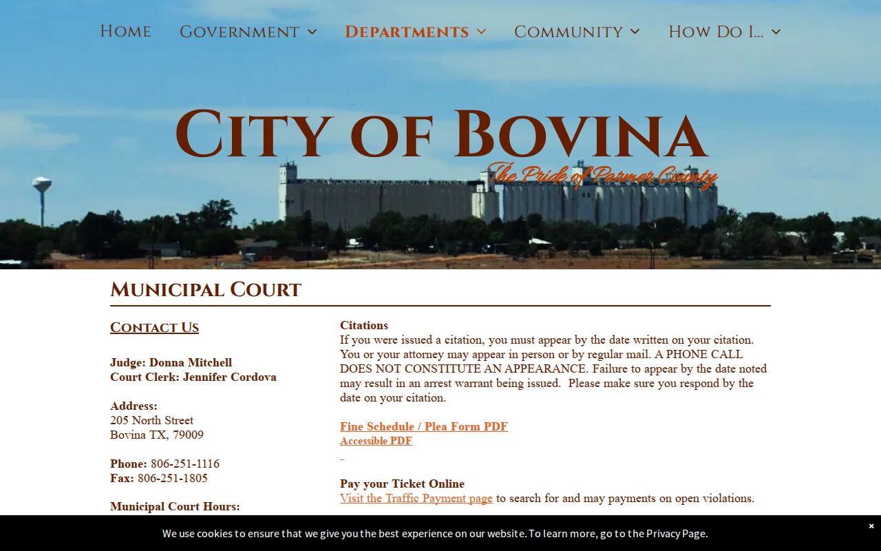 Parmer County active warrants: Bovina Municipal Court hours and monthly list notice
